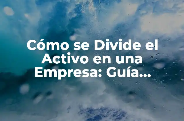 Cómo Se Divide el Activo en una Empresa: Guía Detallada
