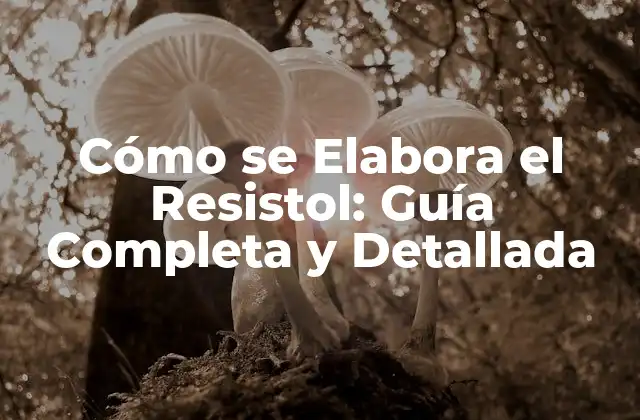 Cómo Se Elabora el Resistol: Guía Completa y Detallada