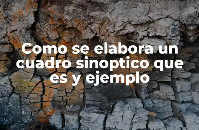 Como Se Elabora un Cuadro Sinoptico que es y Ejemplo