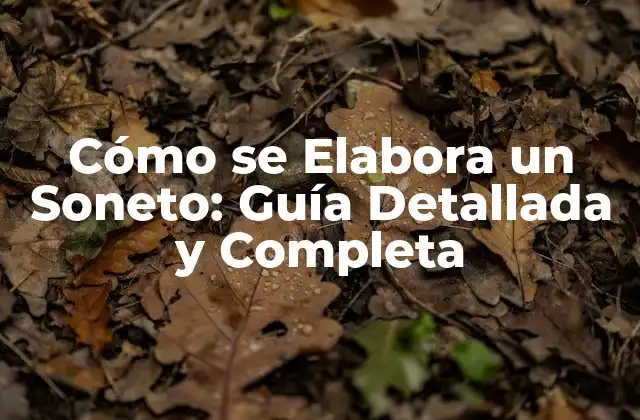 Cómo Se Elabora un Soneto: Guía Detallada y Completa