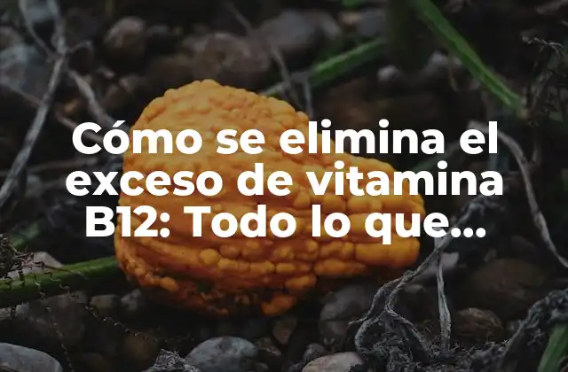 Cómo Se Elimina el Exceso de Vitamina B12: Todo Lo que Necesitas Saber