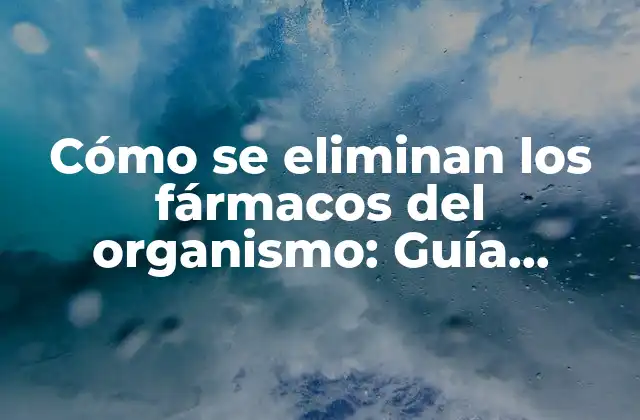 Cómo Se Eliminan los Fármacos Del Organismo: Guía Completa