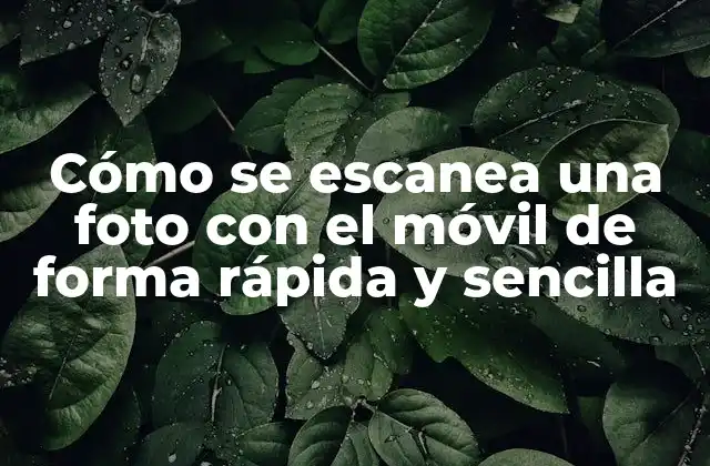 Cómo Se Escanea una Foto con el Móvil de Forma Rápida y Sencilla