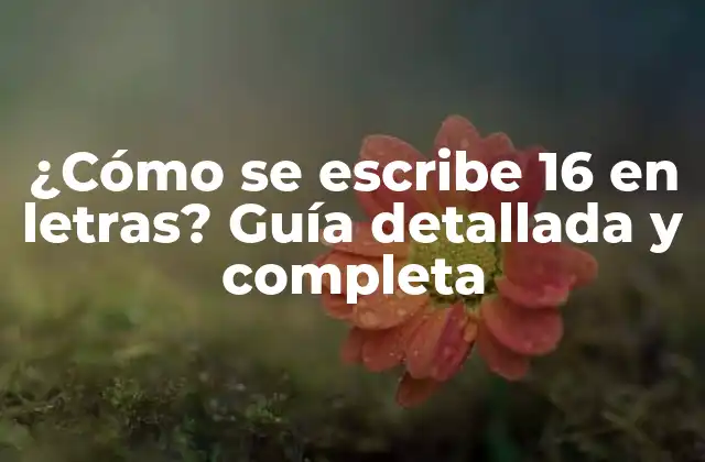 ¿cómo Se Escribe 16 en Letras? Guía Detallada y Completa
