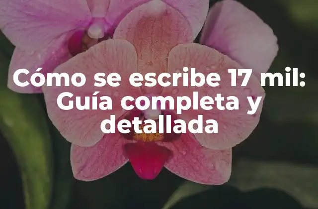 Cómo Se Escribe 17 Mil: Guía Completa y Detallada