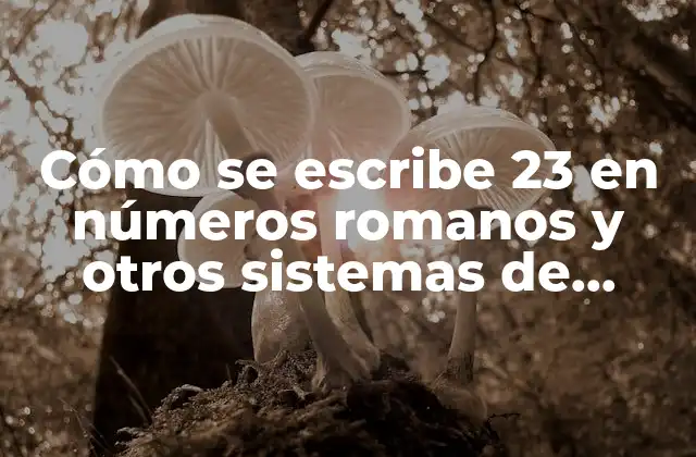 Cómo Se Escribe 23 en Números Romanos y Otros Sistemas de Numeración