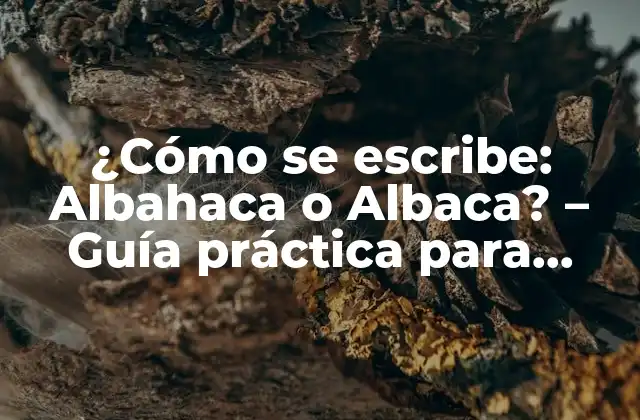 ¿cómo Se Escribe: Albahaca o Albaca? – Guía Práctica para Resolver la Duda