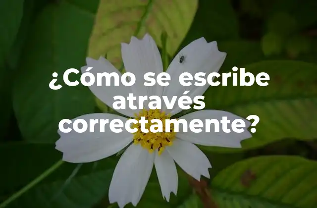 ¿cómo Se Escribe Através Correctamente?
