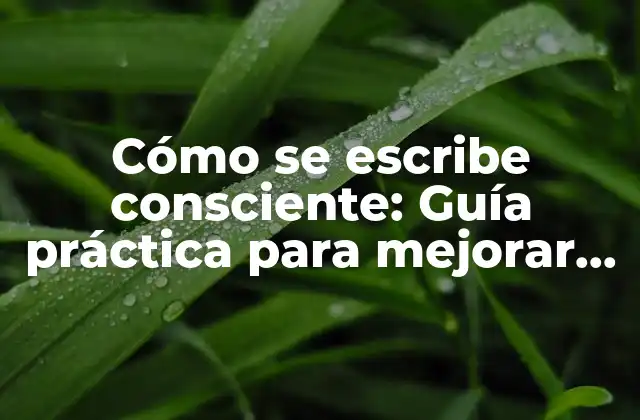 Cómo Se Escribe Consciente: Guía Práctica para Mejorar Tu Escritura