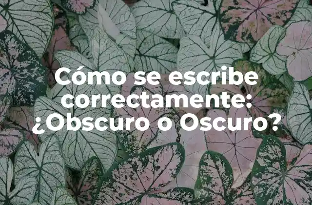 Cómo Se Escribe Correctamente: ¿obscuro o Oscuro?