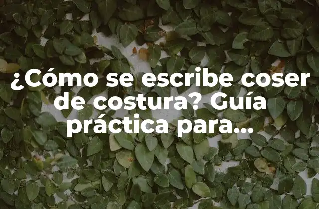 ¿cómo Se Escribe Coser de Costura? Guía Práctica para Principiantes