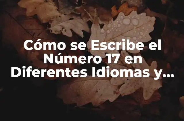 Cómo Se Escribe el Número 17 en Diferentes Idiomas y Sistemas de Numeración