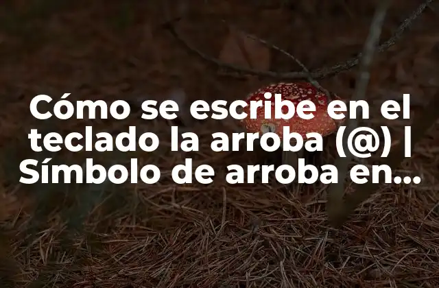 Cómo Se Escribe en el Teclado la Arroba (@) | Símbolo de Arroba en el Teclado