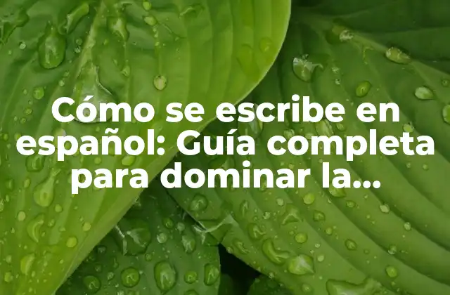 Cómo Se Escribe en Español: Guía Completa para Dominar la Escritura en Español
