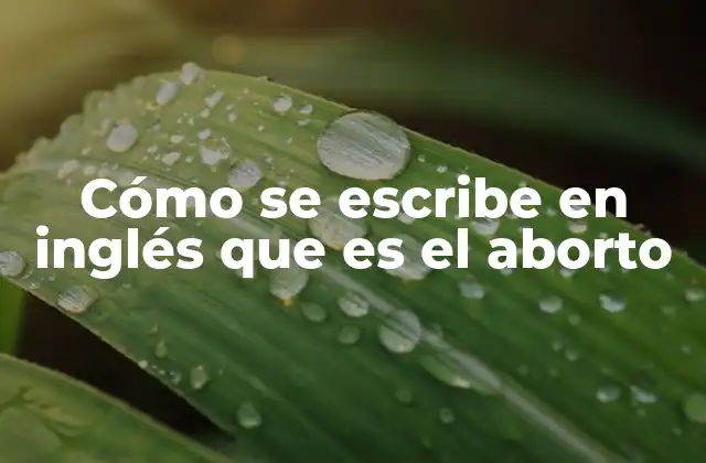 Cómo Se Escribe en Inglés que es el Aborto