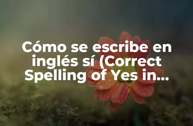 Cómo Se Escribe en Inglés Sí (correct Spelling Of Yes In English)