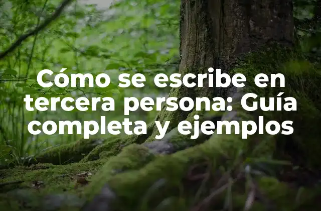 Cómo Se Escribe en Tercera Persona: Guía Completa y Ejemplos 2 ¿Qué es la tercera persona en la escritura?