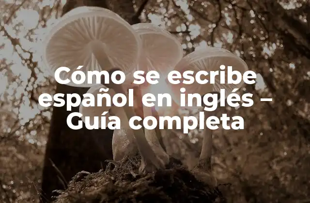 Cómo Se Escribe Español en Inglés – Guía Completa