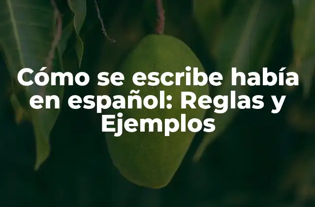 Cómo Se Escribe Había en Español: Reglas y Ejemplos