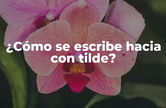 ¿cómo Se Escribe hacia con Tilde?