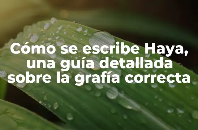 Cómo Se Escribe Haya, una Guía Detallada sobre la Grafía Correcta