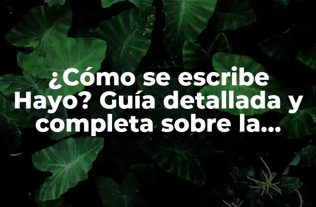 ¿cómo Se Escribe Hayo? Guía Detallada y Completa sobre la Ortografía Correcta