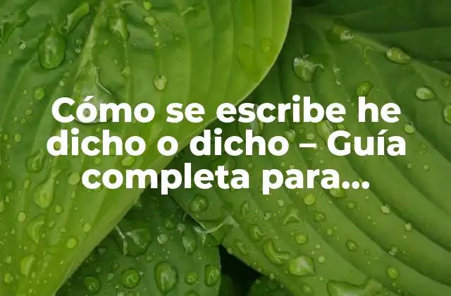 Cómo Se Escribe He Dicho o Dicho – Guía Completa para Aprender a Utilizar Correctamente la Expresión