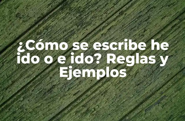 ¿cómo Se Escribe He Ido o e Ido? Reglas y Ejemplos 2 La Conjugación del Verbo Ir