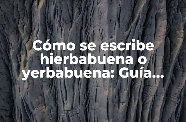 Cómo Se Escribe Hierbabuena o Yerbabuena: Guía Definitiva