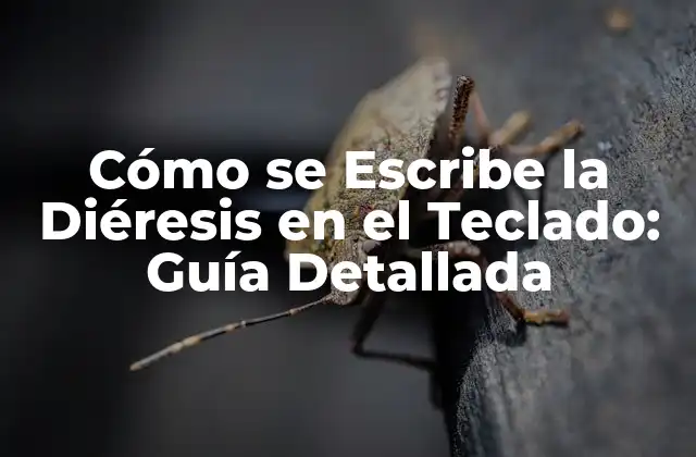 Cómo Se Escribe la Diéresis en el Teclado: Guía Detallada