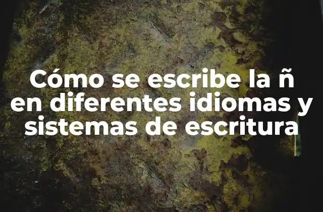 Cómo Se Escribe la Ñ en Diferentes Idiomas y Sistemas de Escritura