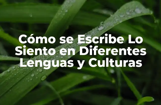 Cómo Se Escribe Lo Siento en Diferentes Lenguas y Culturas