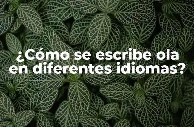 ¿cómo Se Escribe Ola en Diferentes Idiomas?