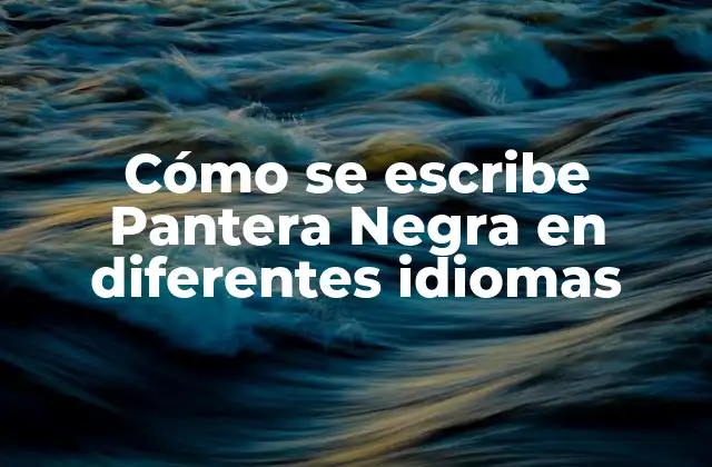 Cómo Se Escribe Pantera Negra en Diferentes Idiomas