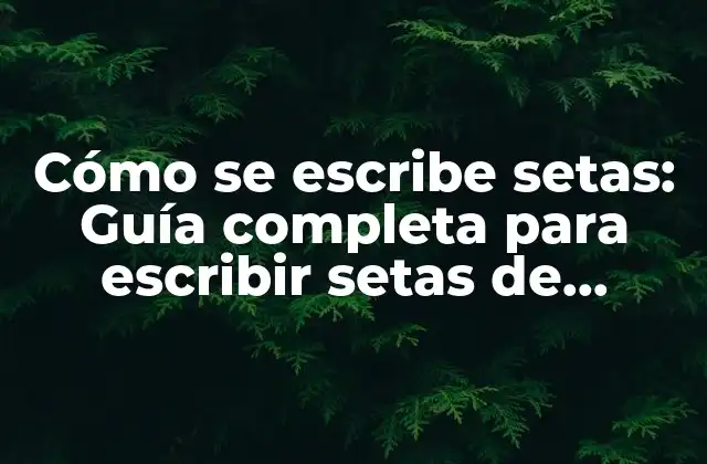 Cómo Se Escribe Setas: Guía Completa para Escribir Setas de Manera Correcta