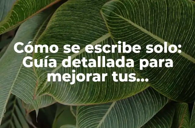 Cómo Se Escribe Solo: Guía Detallada para Mejorar Tus Habilidades de Escritura