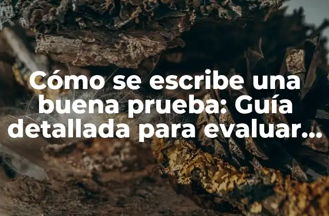 Cómo Se Escribe una Buena Prueba: Guía Detallada para Evaluar Conocimientos