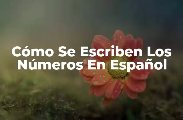Cómo Se Escriben los Números en Español