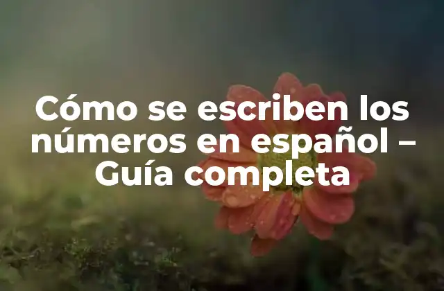Cómo Se Escriben los Números en Español – Guía Completa