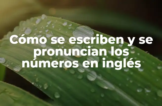 Cómo Se Escriben y Se Pronuncian los Números en Inglés