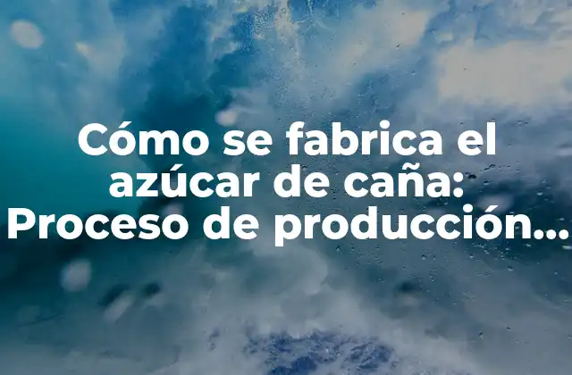 Cómo Se Fabrica el Azúcar de Caña: Proceso de Producción Paso a Paso