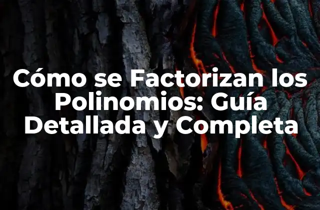 Cómo Se Factorizan los Polinomios: Guía Detallada y Completa
