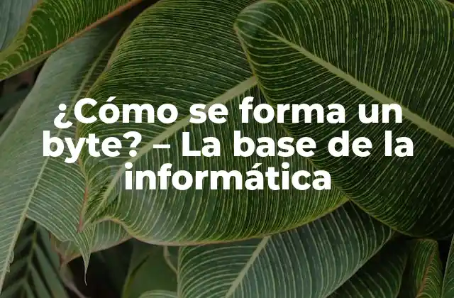 ¿cómo Se Forma un Byte? - la Base de la Informática 2 Definición de bit y byte