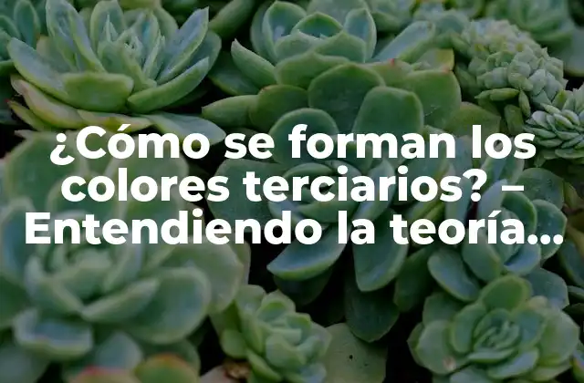 ¿cómo Se Forman los Colores Terciarios? – Entendiendo la Teoría Del Color