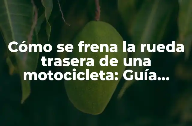 Cómo Se Frena la Rueda Trasera de una Motocicleta: Guía Detallada y Completa