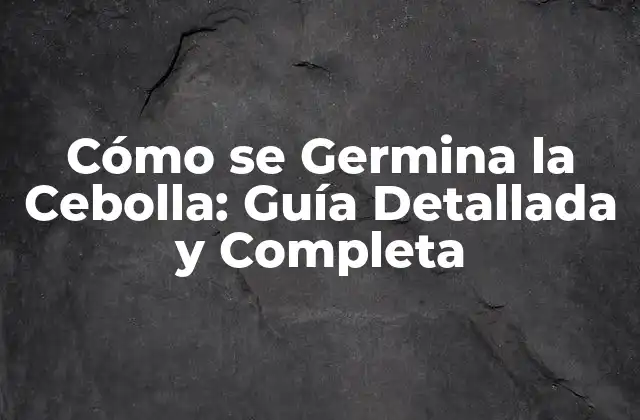 Cómo Se Germina la Cebolla: Guía Detallada y Completa