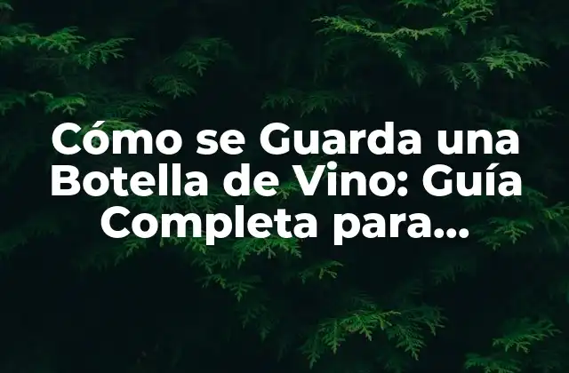 Cómo Se Guarda una Botella de Vino: Guía Completa para Conservar Su Sabor 2 ¿Por qué es Importante Guardar una Botella de Vino de Manera Correcta?