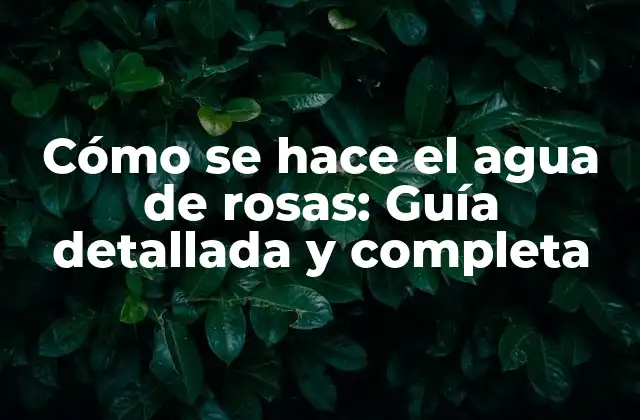 Cómo Se Hace el Agua de Rosas: Guía Detallada y Completa