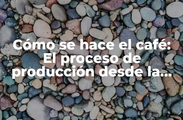 Cómo Se Hace el Café: el Proceso de Producción desde la Semilla hasta la Taza