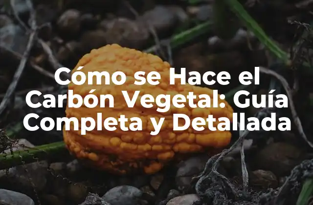 Cómo Se Hace el Carbón Vegetal: Guía Completa y Detallada